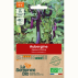 AUBERGINE Japanese Pickling - Graines Bio
