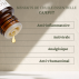Huile Essentielle de CAJEPUT - 10 ML