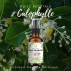 L'Huile végétale de Calophylle BIO - 50Ml