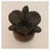 Diffuseur de parfum /  Orchidée du Nepal Noir