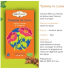 Tisane Bio Tummy in Love (Gamme Triple Power) — Shoti Maa