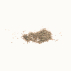 CAROTTE Rouge Sang - Graines Bio