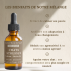 Fleurs de Bach Chat stressé Sans Alcool - 30ML - Lot de 2