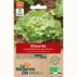 CHICORÉE scarole Bubikopf 3 - Graines Bio