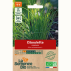 CIBOULETTE commune - Graines Bio