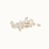 COURGE Sucrine du Berry - Graines Bio