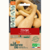 COURGE Tromba d'Albenga - Graines Bio