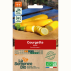 COURGETTE jaune - Graines Bio
