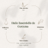 Huile Essentielle de Curcuma - 10ml 