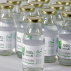 Cure Détox Unidose Sève de bouleau Fraîche – 21 Bouteilles