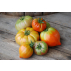 Tomates anciennes bio - 3kg