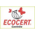 Désinfectant de surfaces écologique, multi usages - 500 ml - en pulvérisateur.