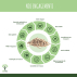 Ecorce de Saule bio - Salix alba - Complément alimentaire - Tonifiant Articulation - Fabriqué en France - Certifié par Ecocert - 60 gélules