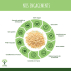 Protéine de Riz Bio - 80% de Protéines - Poudre de Riz Brun Germé - Conditionné en France - Vegan - BIOPTIMAL - 3 kg