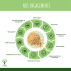 Protéine de Soja Bio - 90% Protéines - Poudre de Fève de Soja - Conditionné en France - Vegan - Certifié écocert - 500g