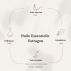 Huile Essentielle de ESTRAGON - 10ML