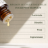 Huile Essentielle d'Eucalyptus Globulus - 10ml 