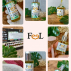 Sésame BIO huile végétale 100ml Feel Oil - Certifiée Ecocert - Sesamum indicum L. Skeels