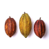 Cacao en fèves - 125g