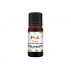 Thym Bornéol huile essentielle 10ml Feel Oil - Thym à feuilles de sarriette - Thymus satureoides cosson