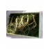 Ginseng Rouge Bio 330