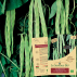 Semence - HARICOT vert plat grimpant Vitalis Bio