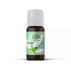 Huile essentielle de basilic bio 10 ml - Purifiant Naturel et Bien-Être