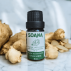 Huile Essentielle de Gingembre bio - 10 ml