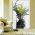 "Tillandsia  en NB" papier peint vinyle 158X250