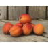 Abricots de saison Bio - 500gr