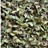 Thym sauvage BIO 25gr