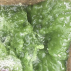 Spiruline artisanale et équitable - paillettes - sachet de 100 g