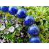 Bracelet de Lapis Lazuli