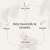 Huile Essentielle de Lavandin - 10ml 