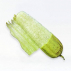 Luffa d'Égypte