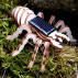 Kit araignée solaire en bois