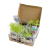 Coffret : Je fais pousser mon mini potager comme un grand