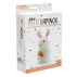 Kit pour faire son petit lapinou en pompons