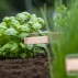 Kit de poinçons pour étiquette de plantes