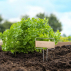 Kit de poinçons pour étiquette de plantes