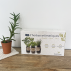 Kit d'herbes aromatiques BIO – (Ciboulette, Basilic, Persil)