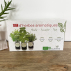 Kit d'herbes aromatiques BIO – (Menthe, Coriandre, Thym)