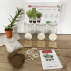 Kit d'herbes aromatiques BIO – (Menthe, Coriandre, Thym)