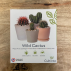 Petit Kit : 4 Cactus à faire pousser