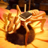 Kit fourmi solaire en bois