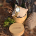 Montre en bois Femme SHINE GOLD