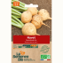 NAVET jaune Boule d'Or - Graines Bio