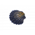 Orgonite coquille
