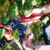 Coffret Parrainage de Vigne - St Emilion, Bordeaux