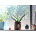 Pot en géotextile pour aromates - Root Pouch